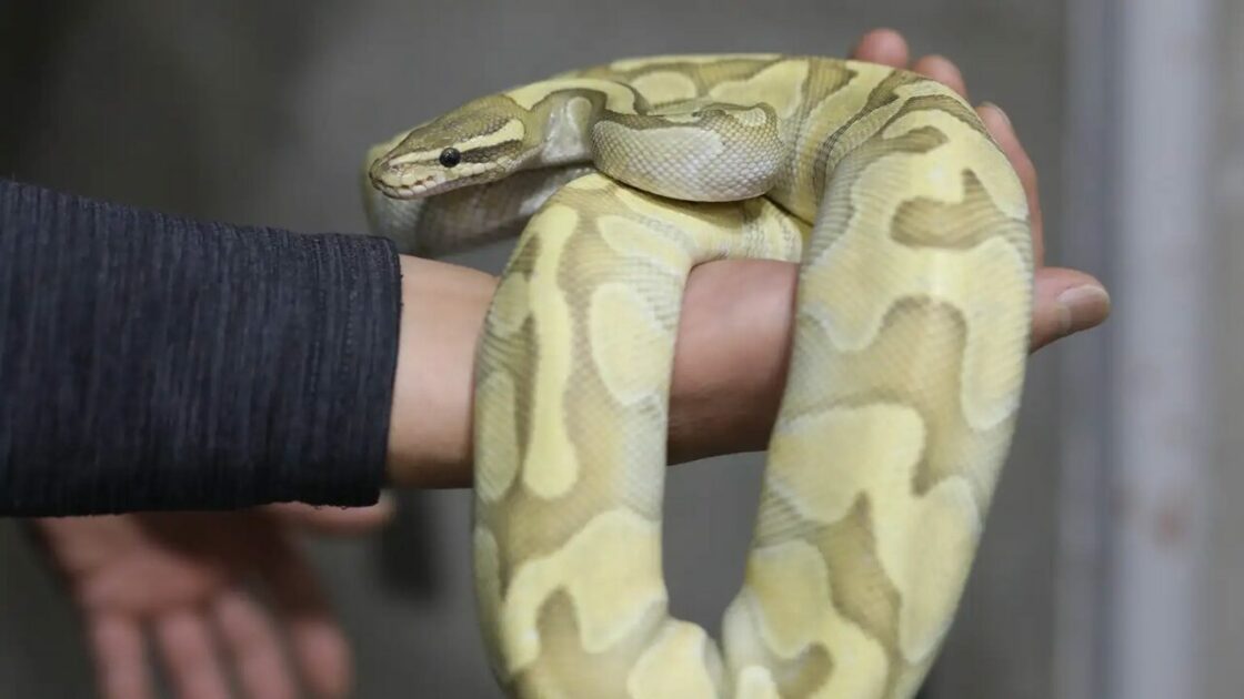 37e76c8a4168a8c9a8c25509702490