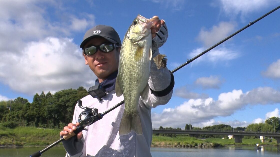 a69fd7c98a2e6a373ae3e7973a7a70