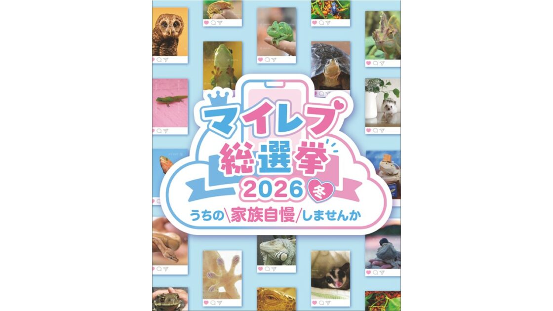 爬虫類・両生類好き必見】日本初！エキゾチックアニマルNo.1を決める