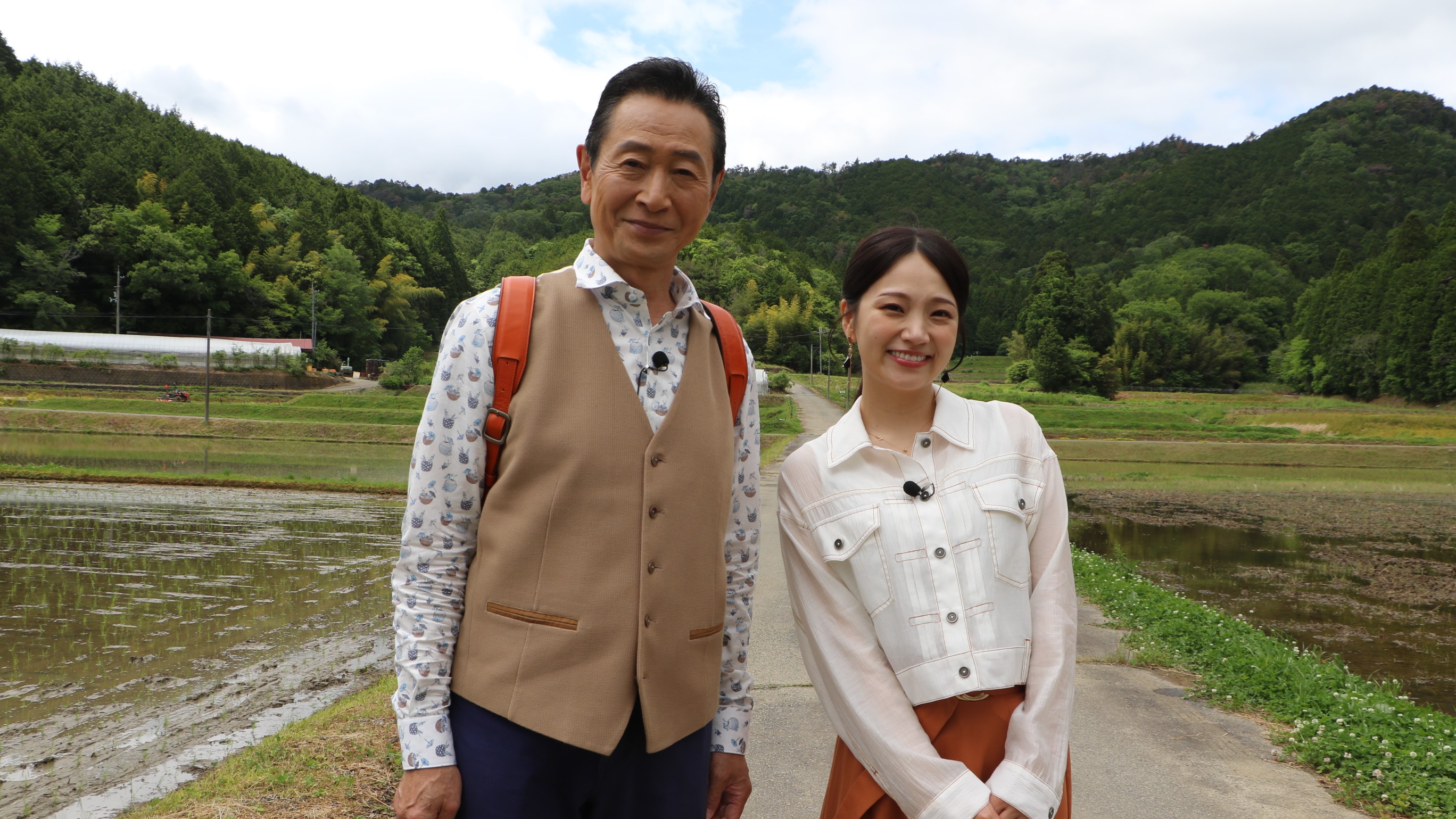 おとな旅あるき旅 | TVO テレビ大阪